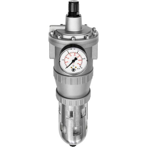 Riegler Filterregler »Standard«, PC-Behälter und Schutzkorb, BG 4, G 1, 678.43 S P