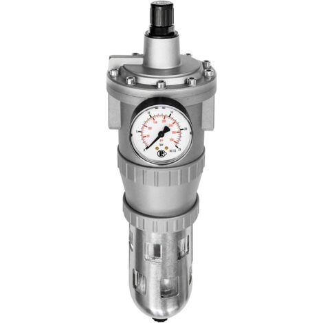 Riegler Filterregler »Standard«, PC-Behälter und Schutzkorb, BG 4, G 3/4, 678.42 S P