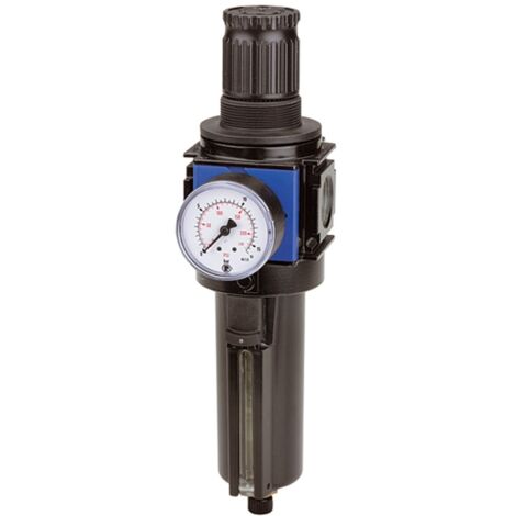Riegler Filterregler »variobloc«, Metallbehälter, Sichtrohr, BG 1, G 3/8