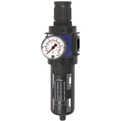 Riegler Filterregler »variobloc« mit PC-Behälter, Schutzkorb, BG 2, G 1/2