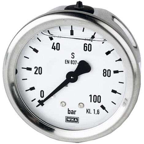 Riegler Glyzerinmano., CrNi-Stahl, G 1/4 hinten zentr., 0 - 1,0 bar, Ø 63