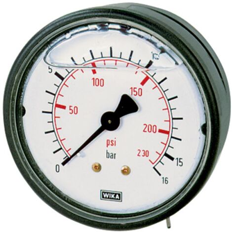 Riegler Glyzerinmano., Kunststoff, G 1/4 hinten zentr., -1/+5,0 bar, Ø 63