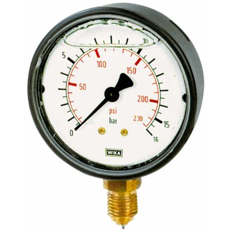 Riegler Glyzerinmanometer, Kunststoff, G 1/4 unten, -1 / +0,6 bar, Ø 63