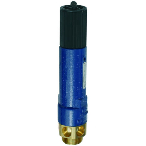 Riegler Hochleistungs-Sicherheitsventil MS, G 1 1/2 Ansprechdruck 3,3 bar