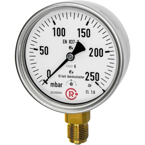 Riegler Kapselfedermanometer CrNi-Stahl, G1/4 radial unten, 0-100mbar,Ã˜63