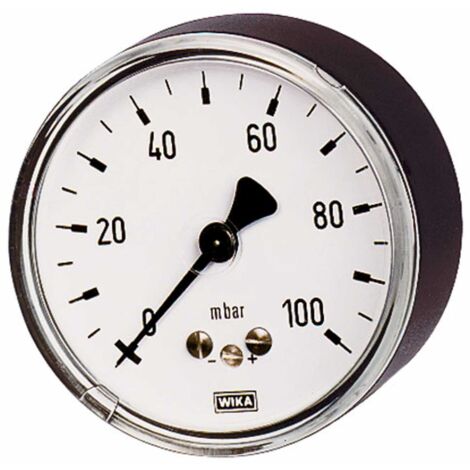 Riegler Kapselfedermanometer, G 1/2 hinten exzentr., 0 - 100 mbar, Ø 100