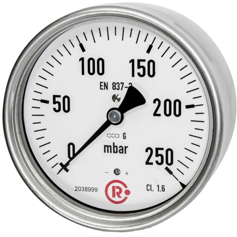 Riegler Kapselfedermanometer, G 1/2 hinten zentrisch, 0 - 250 mbar, Ã˜ 100