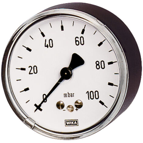 Riegler Kapselfedermanometer, G 1/4 hinten zentrisch, 0 - 40 mbar, Ø 63