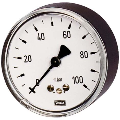 Riegler Kapselfedermanometer, G 1/4 hinten zentrisch, 0 - 400 mbar, Ã˜ 63, 5826