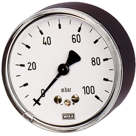Riegler Kapselfedermanometer, G 1/4 hinten zentrisch, 0 - 60 mbar, Ø 63