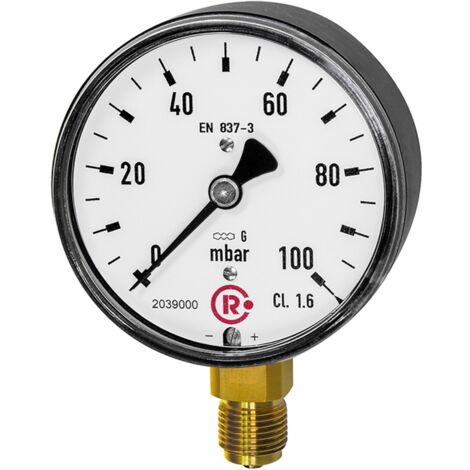 Riegler Kapselfedermanometer, G 1/4 radial unten, -100 / 0 mbar, Ø 63