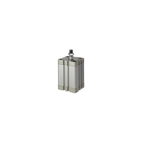Riegler Kompaktzyl.,  einfachw., AG, eingef., Ø32, Hub25, G1/8, ISO21287