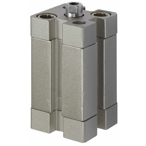 Riegler Kompaktzylinder, doppeltwirkend, IG, K-Ø32, Hub45, G1/8, ISO21287