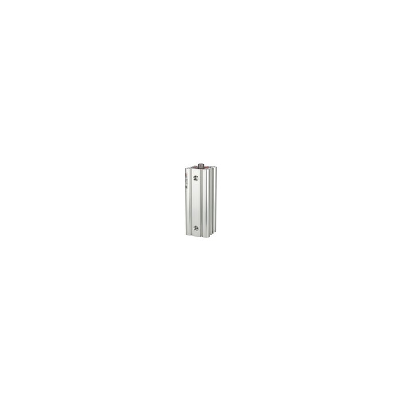Riegler - Kompaktzylinder liner, doppeltwirk., ig, Kol.-Ø 40, Hub 20, g 1/8