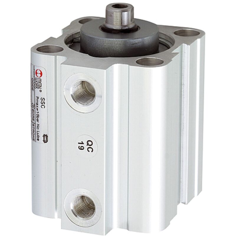 Riegler Kurzhubzylinder, doppeltwirk., Magnet, Kolben-Ø 63, Hub 5, G 1/8