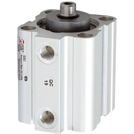 Riegler Kurzhubzylinder, einfachwirk., Magnet, Kolben-Ø 25, Hub 10, G 1/8