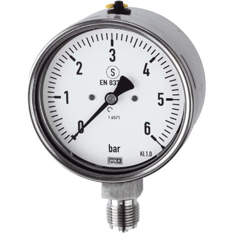 Riegler Mano, CrNi-Stahl, Sicherh., G 1/2 radial unten, 0-60,0 bar, Ø 100