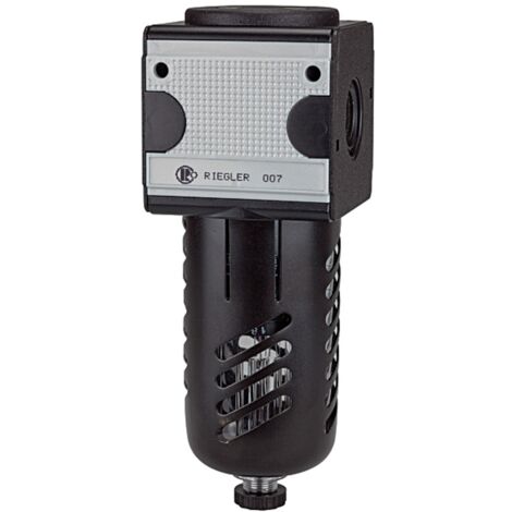 Riegler Mikrofilter »multifix«, mit PC-Behälter, Schutzkorb, BG 3, G 1/2