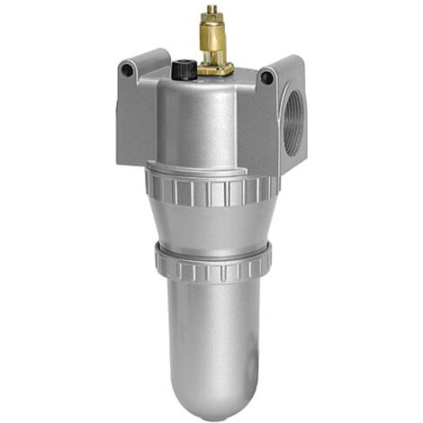 Riegler Nebelöler »Standard«, mit Metallbehälter, BG 1, G 3/8