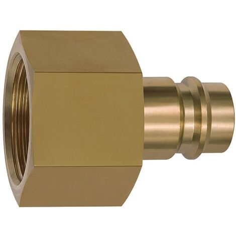 Riegler Nippel für Kupplungen NW 19, Messing blank, G 1 1/4 IG