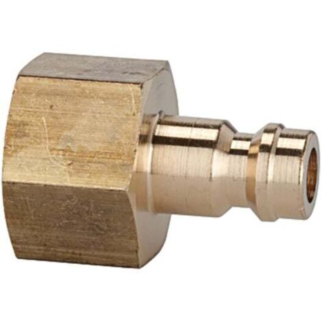 Riegler Nippel für Kupplungen NW 5, Messing blank, G 1/4 IG, SW 17