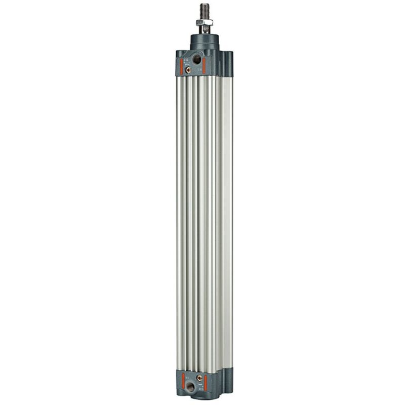 Normzylinder, doppeltwirkend, Magnet, Kolben-Ø 63, Hub 125, g 3/8 - Riegler