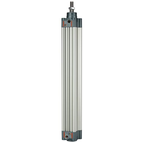 Riegler Normzylinder, doppeltwirkend, Magnet, Kolben-Ã˜ 40, Hub 600, G 1/4