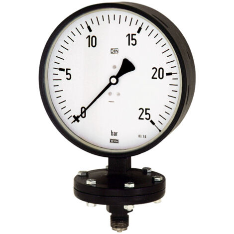 Riegler Plattenfedermano, Robust., G 1/2 radial unten, 0-10,0 bar, Ã˜ 100