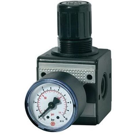 Riegler Régulateur de pression multifix avec manomètre BG 1 G 3/8 0,5 - 10 bar - 100421