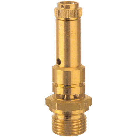 Riegler Sicherheitsventil DN 8, Messing, G 1/2, Ansprechdruck 2 bar