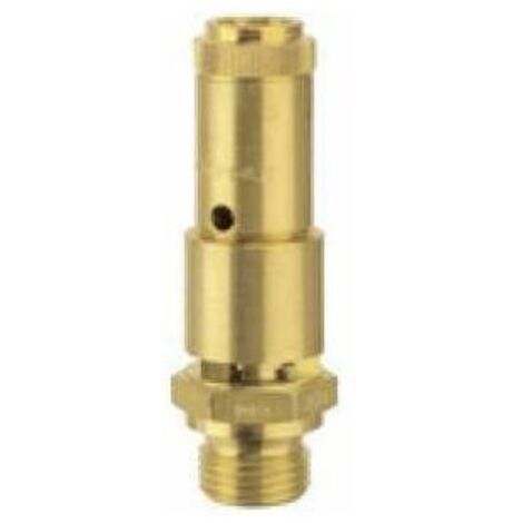 Riegler Sicherheitsventil DN10, Messing, G 1/2, Ansprechdruck 0,55 bar