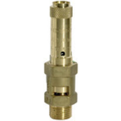 Riegler Sicherheitsventil, Messing, G 1, Ansprechdruck 0,6 bar
