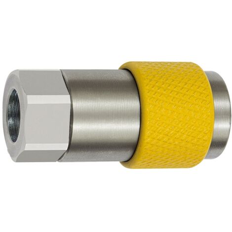 Riegler Unv. Dreh-Sicherheitskupplung NW 6, ISO 6150 C, G 1/2 IG, grau
