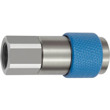 Riegler Unv. Dreh-Sicherheitskupplung NW 6, ISO 6150 C, G 3/8 IG, blau