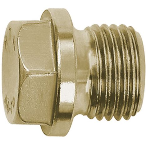 Riegler Verschlussschraube, Außensechskant, Bund, G 1/4, SW 13, ES 1.4571