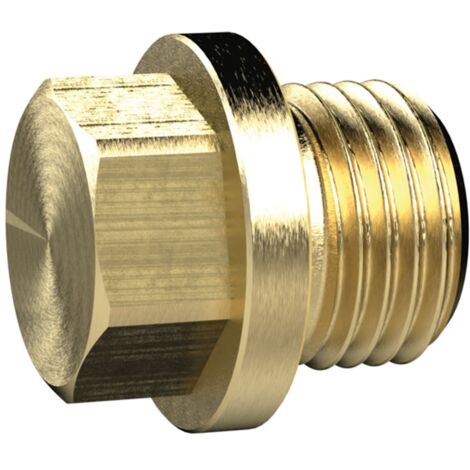 Riegler Verschlussschraube, Außensechskant u. Bund, G 3/4, SW 24, MS