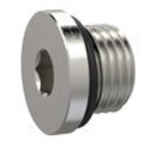 Riegler Verschlussschraube, Innensechskant 2,5 mm, M5, NBR O-Ring, MSN