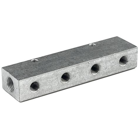 Riegler Verteilerleiste, Abgänge einseitig, Eingang 2x1/4, Ausgang 3x1/8