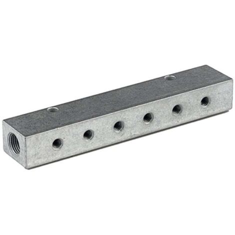 Riegler Verteilerleiste, Abgänge einseitig, Eingang 2x1/8, Ausgang 6xM5