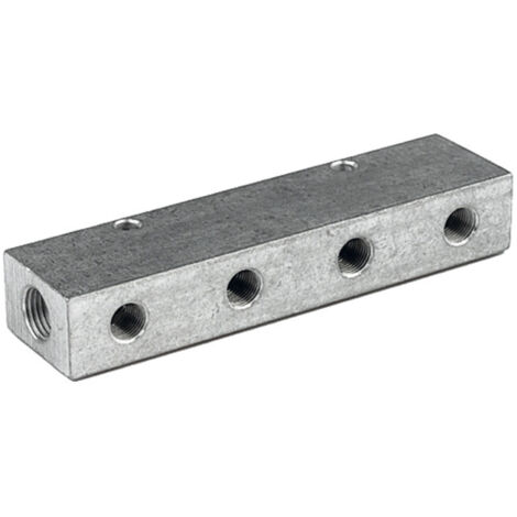 Riegler Verteilerleiste, Abgänge einseitig, Eingang 2x3/8, Ausgang 4x1/4