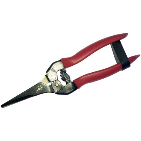 Riegolux 302172 - Forbici da pomodoro