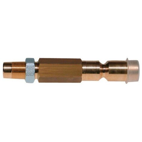 Riello 3007467 - Pulverisateur