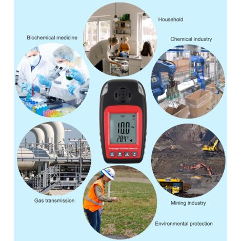 Rilevatore di solfuri Rilevatore di gas H2S Monitor portatile con allarme sonoro e flash Monitor di gas H2S per la sicurezza e il monitoraggio ambientale
