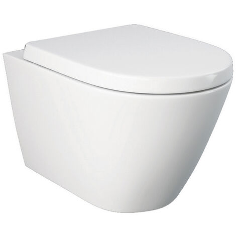 Maison Exclusive - Inodoro WC de pared sin bordes cisterna oculta cerámica  blanco