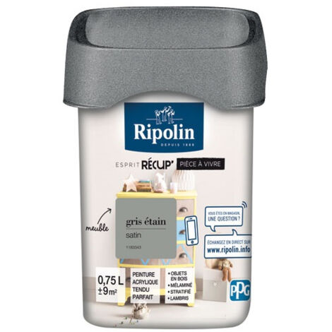 Rip Recup Pièce à Vivre Satin 0.75l Gris étain - Ripolin