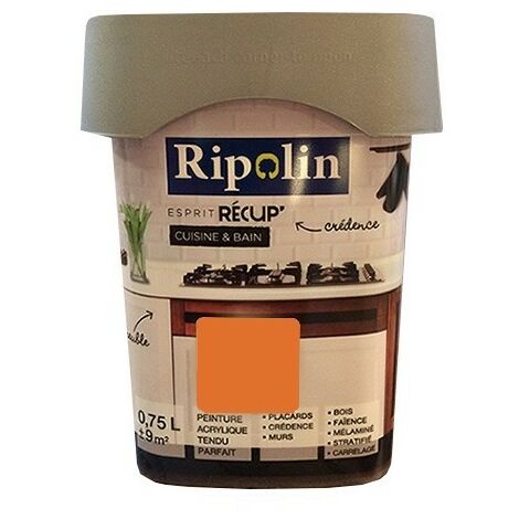 RIPOLIN Peinture Esprit Récup' Cuisine & Bain Abricot 0,75 L - Abricot