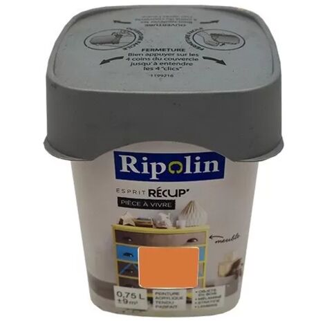 RIPOLIN Peinture Esprit Récup' Pièce à vivre Abricot 0,75 L - Abricot