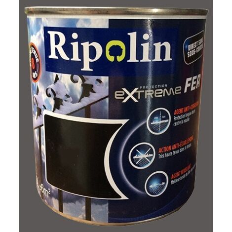 RIPOLIN Protection Extrême Fer Gris argenté 0,5 L
