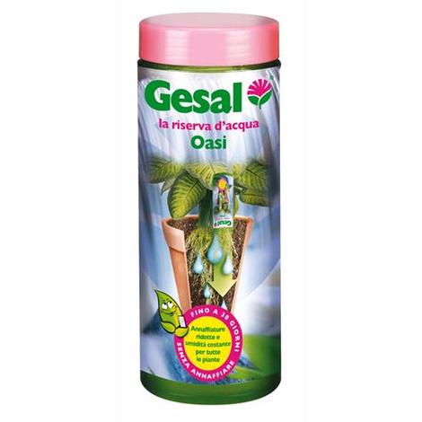 Acqua gel piante