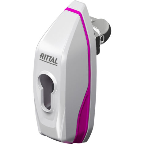 Rittal AX 2537.100 Knebelgriff  Lichtgrau  1 St.